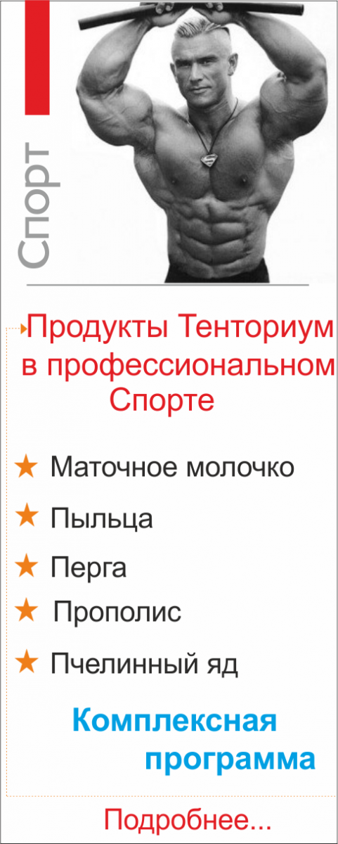 спортивное питание BeeActive